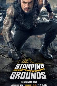 عرض WWE Stomping Grounds 2019 مترجم