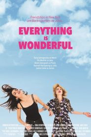 فيلم Everything is Wonderful