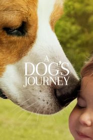 فيلم A Dog’s Journey 2019 مترجم اون لاين