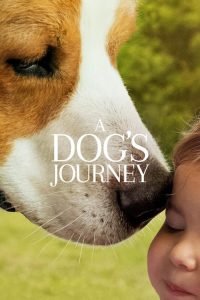 فيلم A Dog’s Journey 2019 مترجم اون لاين