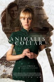 فيلم Animales sin collar 2018 مترجم