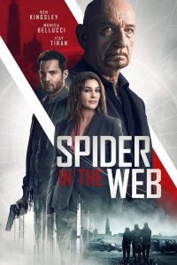 فيلم Spider in the Web 2019 مترجم