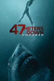 فيلم 47 Meters Down: Uncaged 2019 مترجم