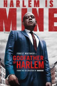 مسلسل Godfather of Harlem مترجم اون لاين