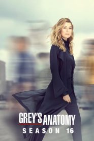 مسلسل Grey’s Anatomy مترجم اون لاين