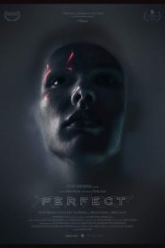 فيلم Perfect 2018 مترجم اون لاين