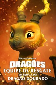 فيلم Dragons: Rescue Riders: Hunt for the Golden Dragon 2020 مترجم