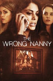 فيلم The Wrong Nanny 2017 مترجم اون لاين