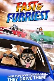 فيلم Fast and Furriest 2017 مترجم اون لاين