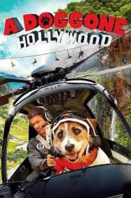 فيلم A Doggone Hollywood 2017 HD مترجم اون لاين