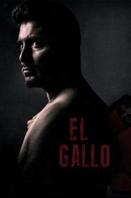 فيلم El Gallo 2018 مترجم اون لاين