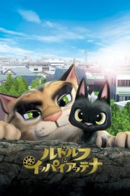 فيلم Rudolf the Black Cat 2016 مترجم اون لاين