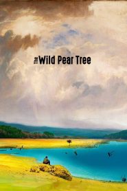 فيلم The Wild Pear Tree 2018 مترجم