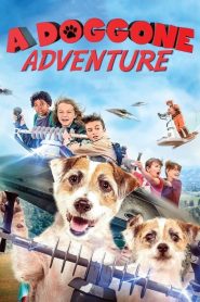 فيلم A Doggone Adventure 2018 مترجم اون لاين