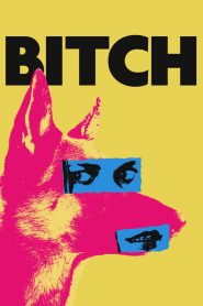 فيلم Bitch 2017 مترجم اون لاين