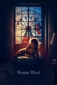 فلم Wonder Wheel 2017 HD مترجم اون لاين