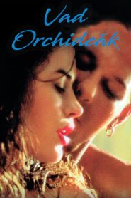 فيلم Wild Orchid 1989 مترجم