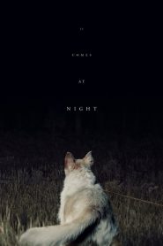 فيلم It Comes at Night 2017 HD مترجم اون لاين