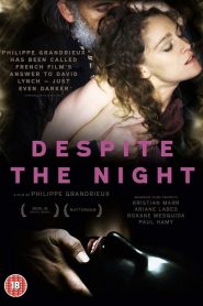 فيلم Despite the Night 2015 مترجم اون لاين