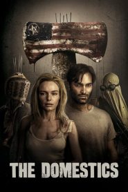 فيلم The Domestics 2018 مترجم