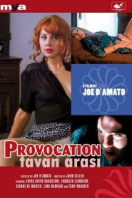 فيلم Provocation 1995 اون لاين للكبار فقط