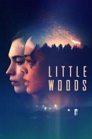 فيلم Little Woods 2018 مترجم