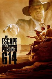 فيلم The Escape of Prisoner 614 مترجم DVD