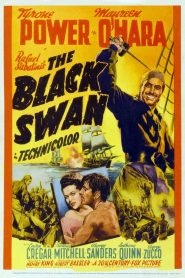 فيلم The Black Swan 1942 مترجم