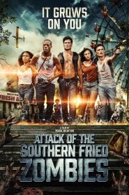 فيلم Attack of the Southern Fried Zombie 2017 مترجم اون لاين