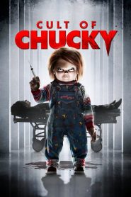 فيلم Cult of Chucky 2017 مترجم اون لاين