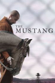 فيلم The Mustang 2019 مترجم