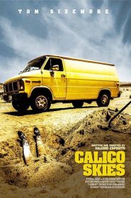 فيلم Calico Skies 2016 مترجم اون لاين