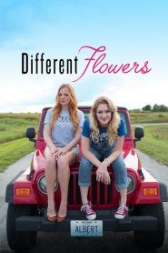 فيلم Different Flowers 2017 مترجم اون لاين