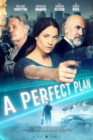 فيلم A Perfect Plan 2020 مترجم