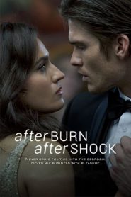 فيلم Afterburn Aftershock 2017 مترجم اون لاين