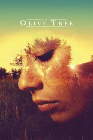 فيلم The Olive Tree 2016 مترجم اون لاين