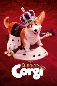 فيلم The Queens Corgi 2019 مترجم