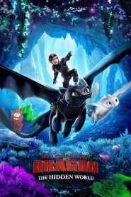 فيلم How to Train Your Dragon The Hidden World 2019 مترجم