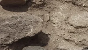 شيخ روحاني استخراج الكنوز والدفائن في ليبيا تونس | كشف استشارات ميدانية وفك رموز