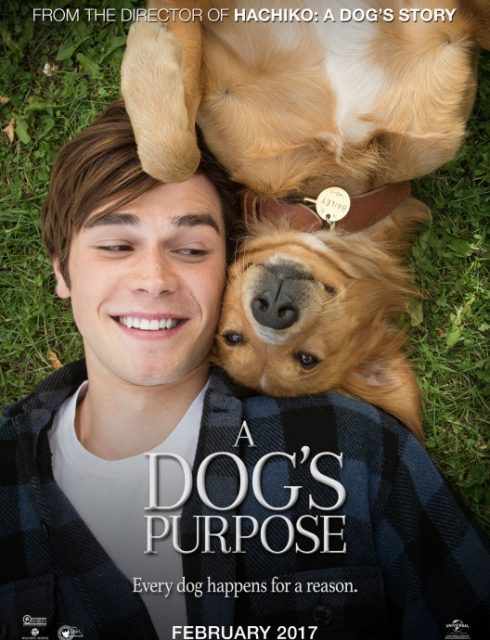 فيلم A Dogs Purpose 2017 مترجم