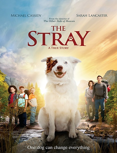 فيلم الدراما The Stray 2017 مترجم