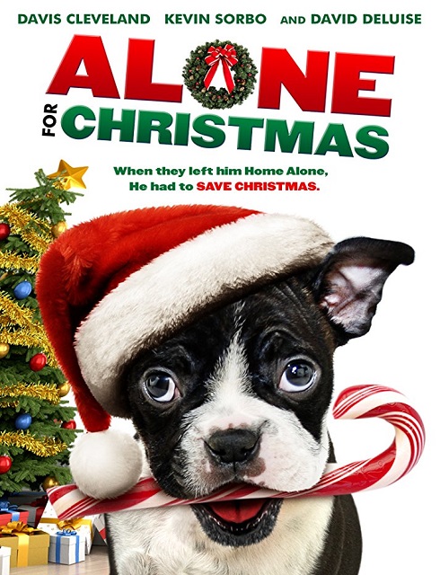 فيلم Alone for Christmas 2013 مترجم اون لاين